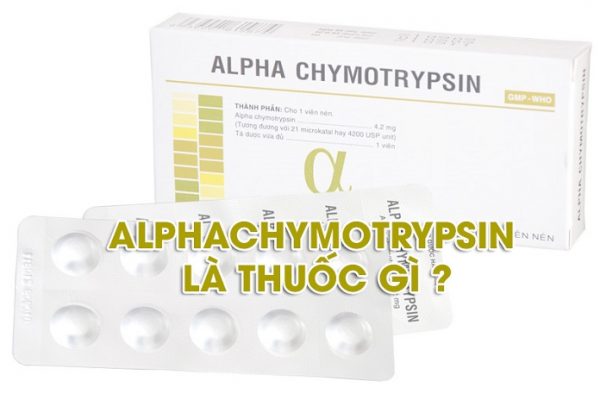 Alpha chymotrypsin là thuốc gì, công dụng, liều dùng, tác dụng phụ?