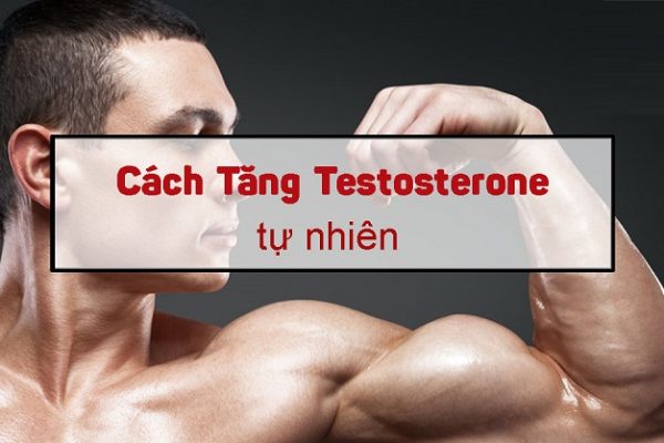 Cách tăng nồng độ Testosterone nam không dùng thuốc